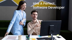 hire perfect developer