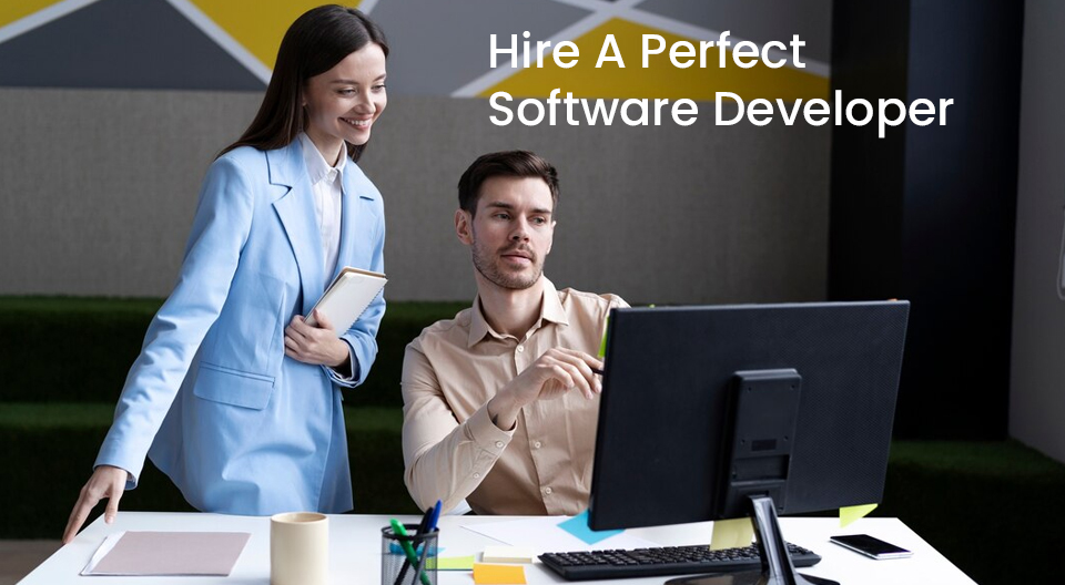 perfect software developer